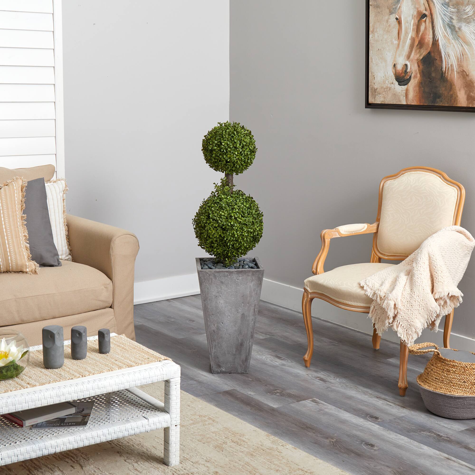 4ft. Double Boxwood Topiary Tree in Cement Planter